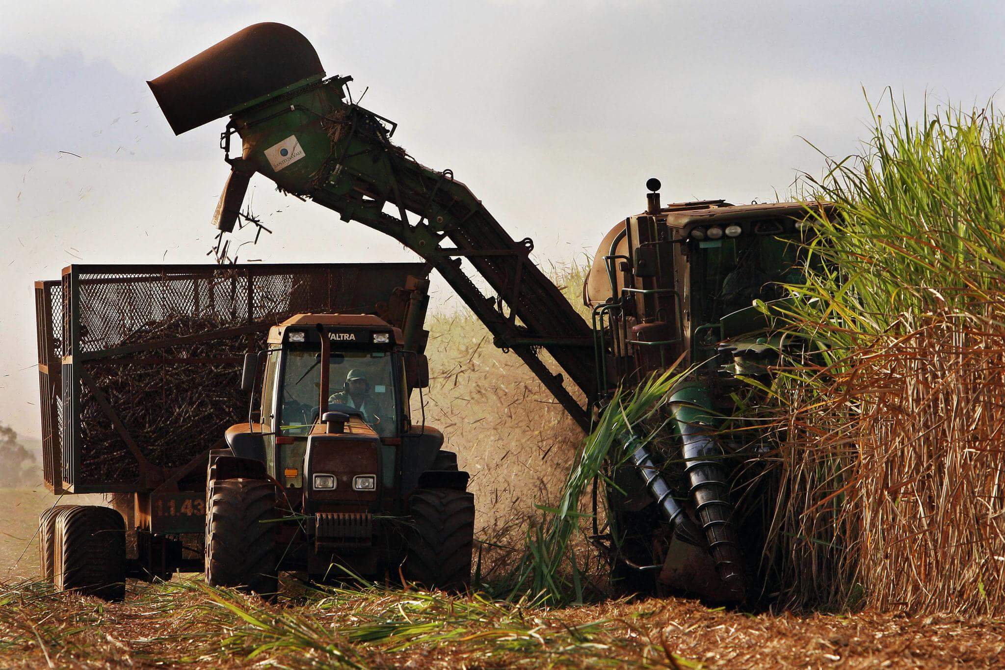 Biomass vs. Solar Energy