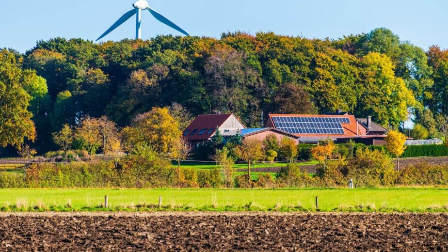 Biomass Energy Pros and Cons