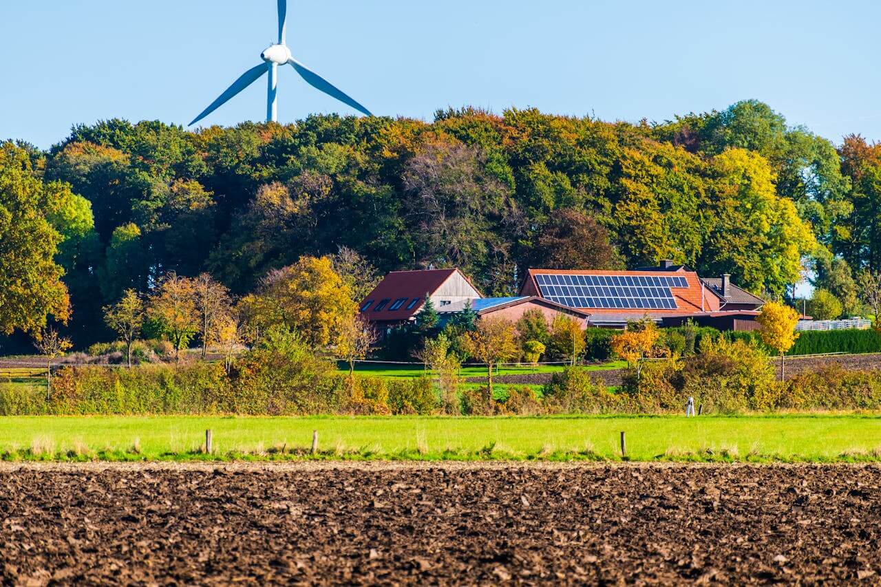 Biomass Energy Pros and Cons